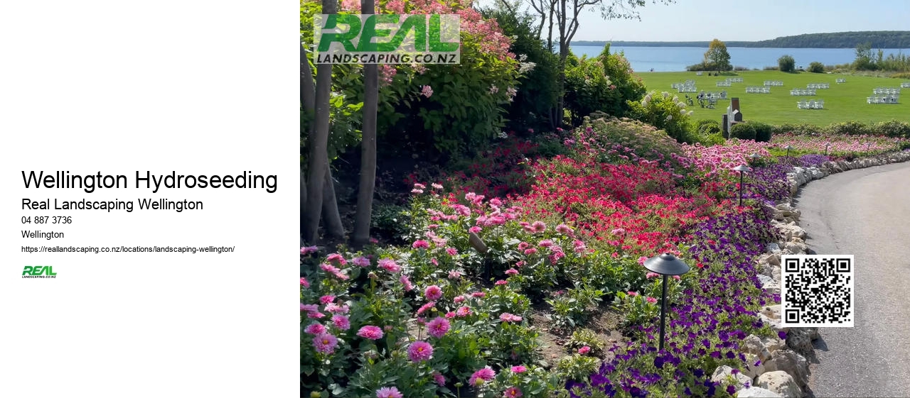 Affordable Landscaping Wellington